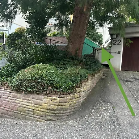 Litzi * Μπάντεν-Μπάντεν