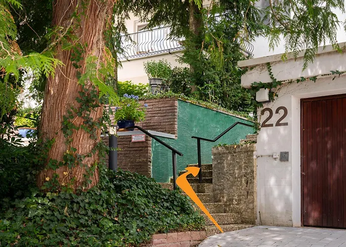 Litzi * بادن بادن