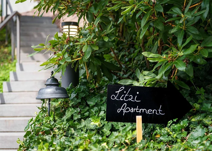 Litzi بادن بادن